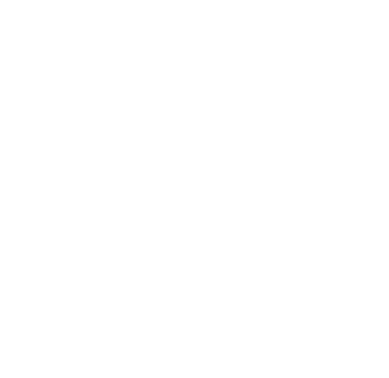 ISO 9001 white